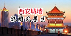 性感美女少妇被叉叉中国陕西-西安城墙旅游风景区
